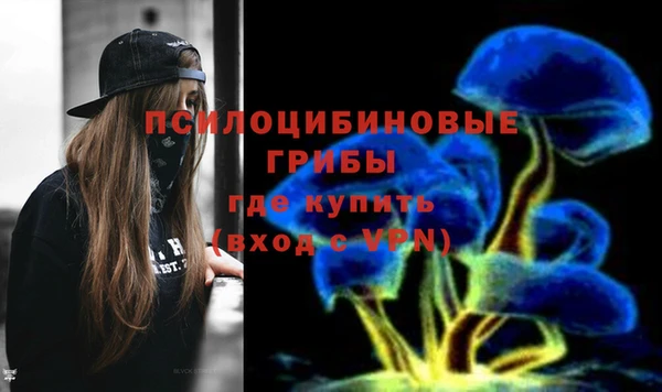 ПСИЛОЦИБИНОВЫЕ ГРИБЫ Козловка