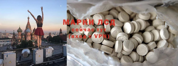 ПСИЛОЦИБИНОВЫЕ ГРИБЫ Козловка