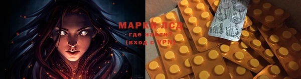 ПСИЛОЦИБИНОВЫЕ ГРИБЫ Козловка