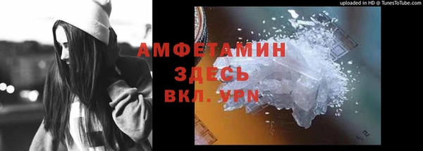 крисы Кодинск