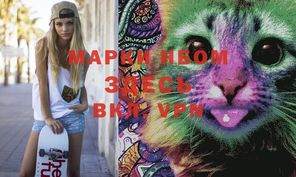 ПСИЛОЦИБИНОВЫЕ ГРИБЫ Козловка