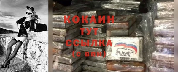 крисы Кодинск