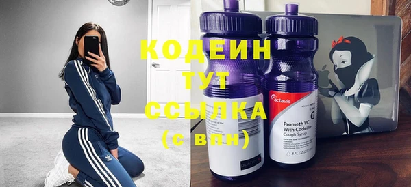 крисы Кодинск